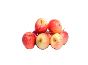 Äpfel - Gala Royal