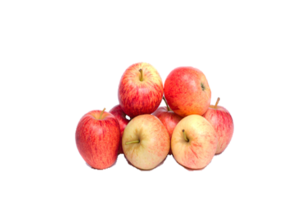 Äpfel - Gala Royal